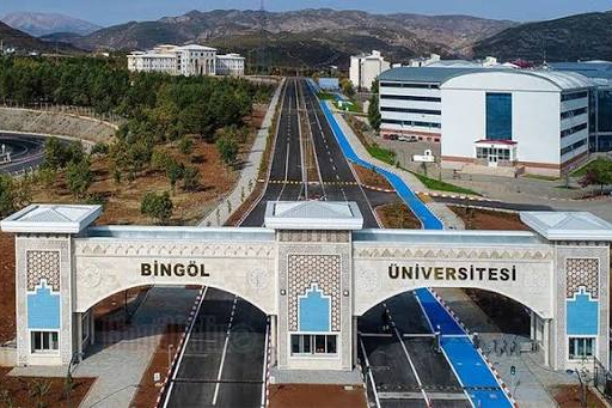 جامعة بينغول